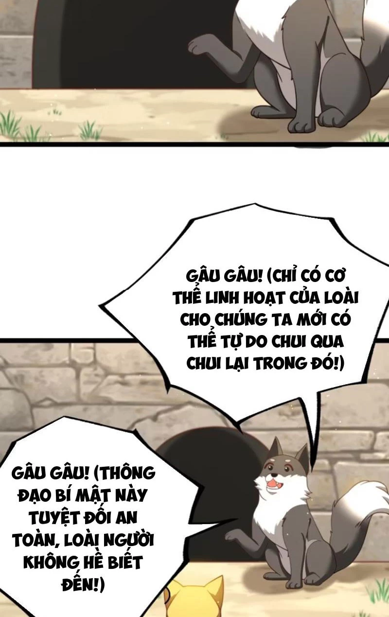 Chính Nghĩa Không!! Ta Trở Thành Phản Diện Chapter 49 - Trang 2