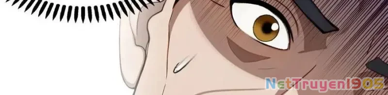 Trùng Sinh 1998 Ta Làm Thập Nhị Đại Phú Hào Chapter 16 - 41