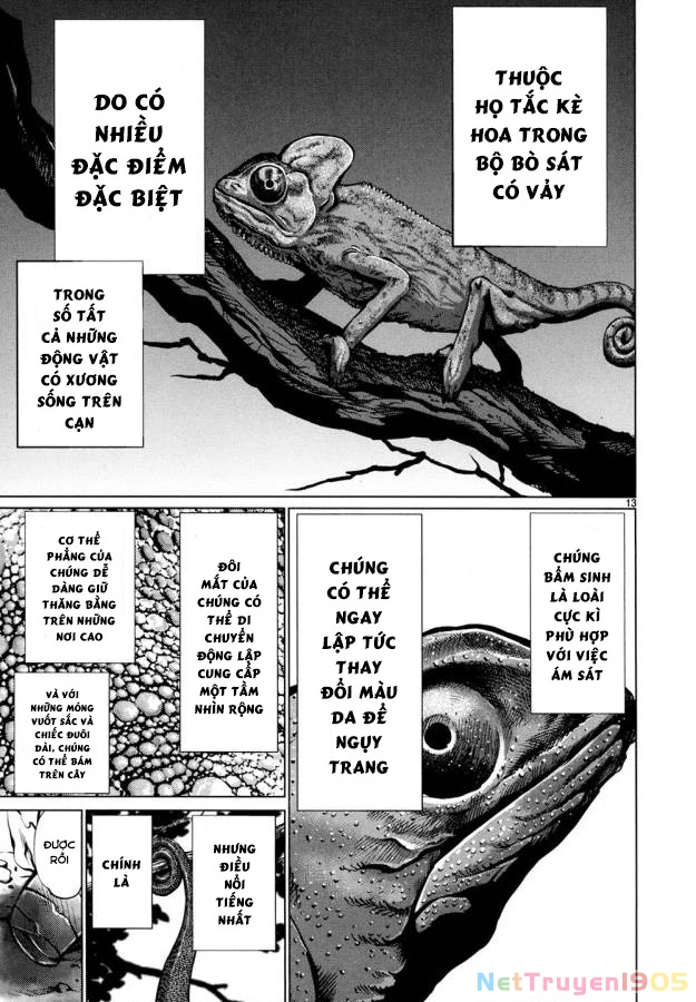 Killing Bites Chapter  29 - 14