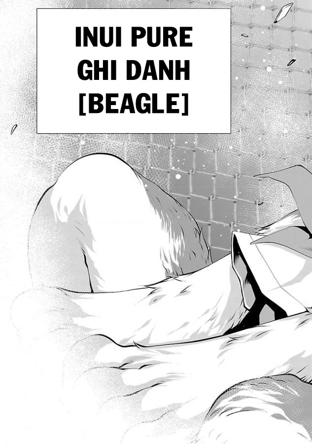 Killing Bites Chapter  31 - 45