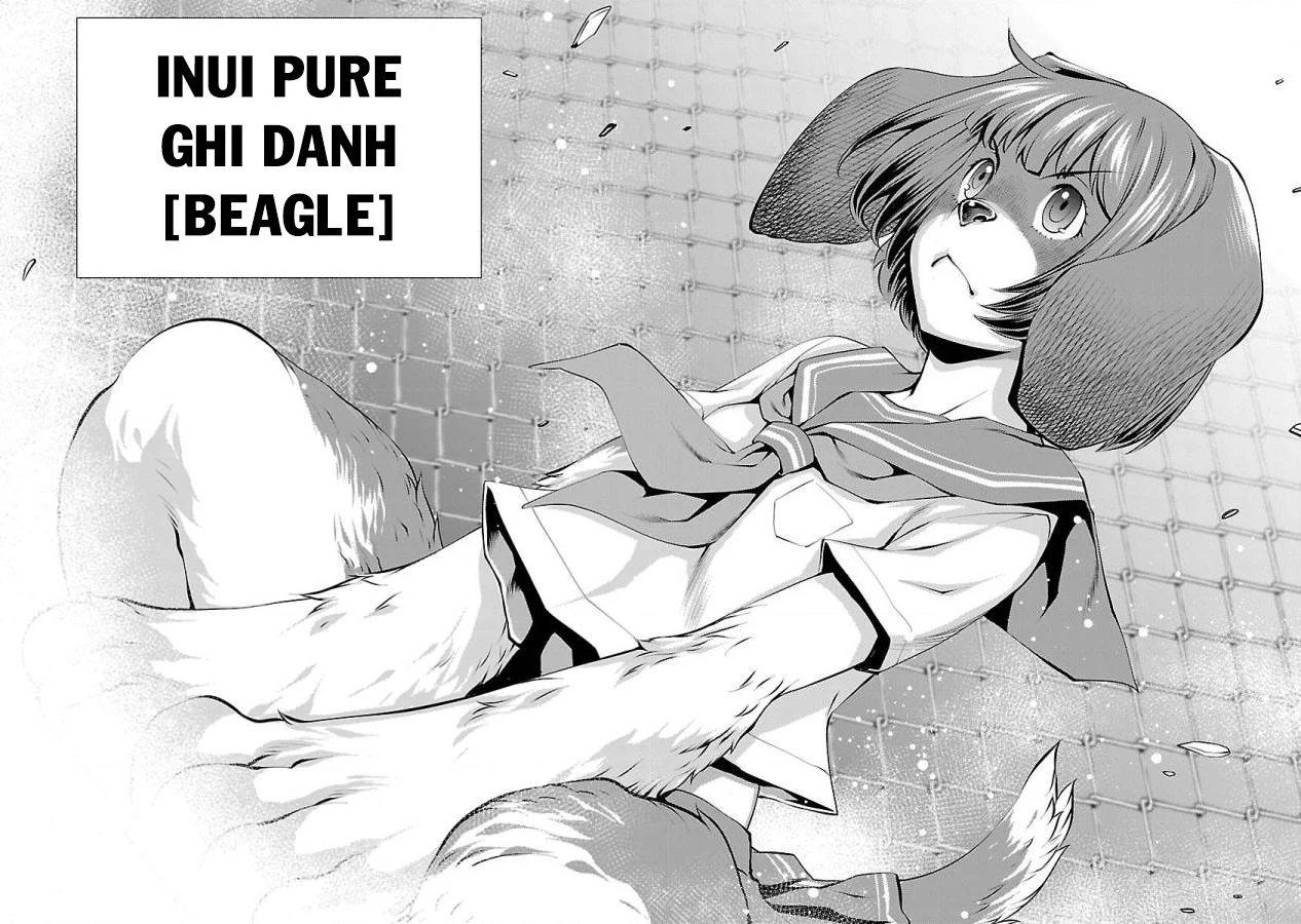 Killing Bites Chapter  31 - 46