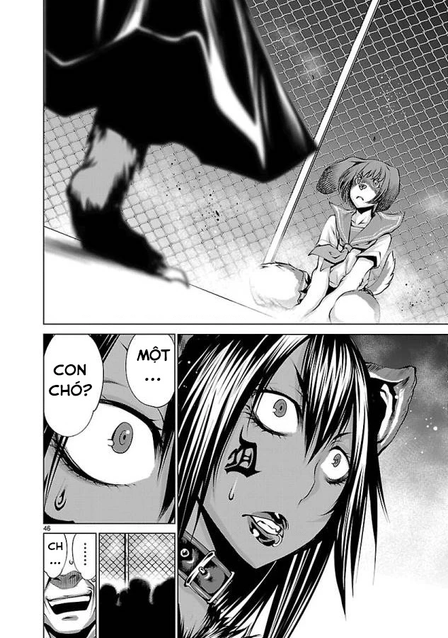 Killing Bites Chapter  31 - 48