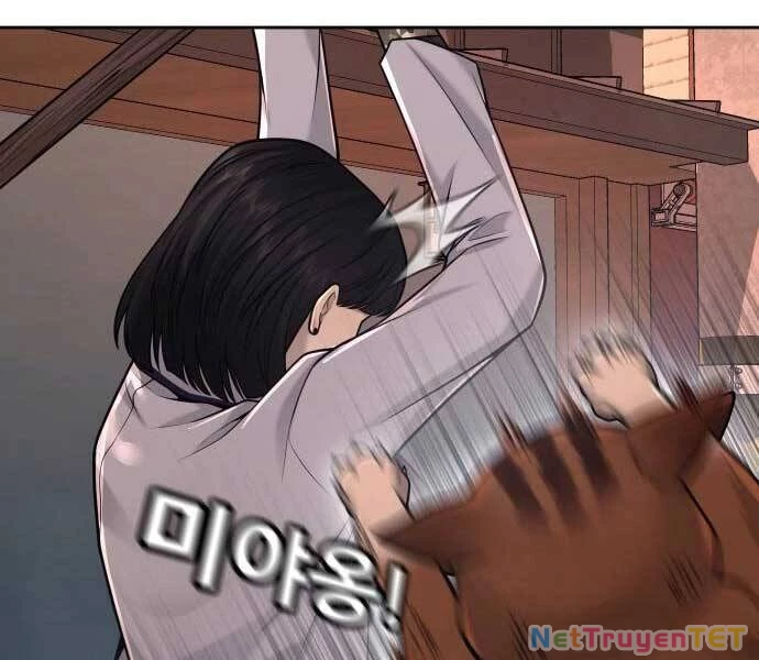 Nhiệm Vụ Diệu Kỳ Chapter 46 - 162