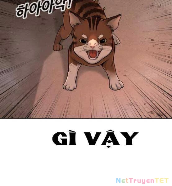 Nhiệm Vụ Diệu Kỳ Chapter 47 - 65