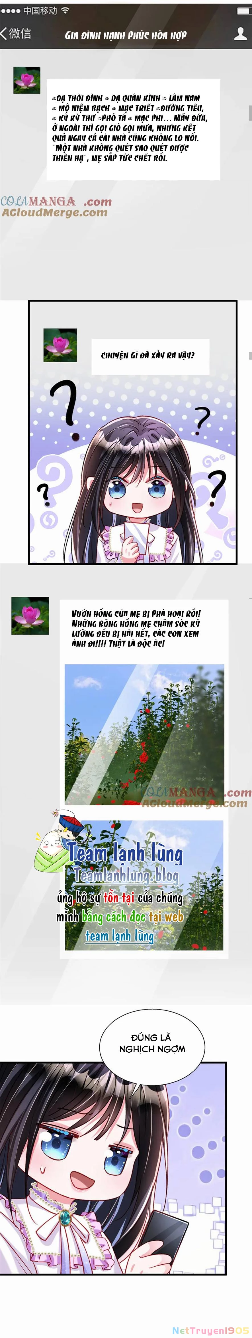 Cuộc Hôn Nhân Với Boss Nhà Giàu Khét Tiếng Chapter  210 - 9