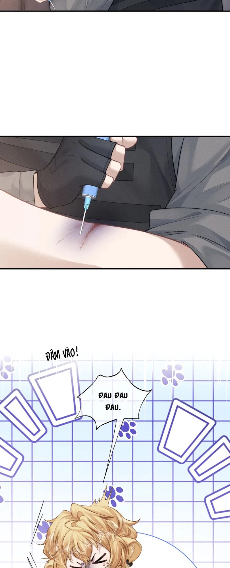 Chấp Sự Thỏ Cụp Tai Chapter 104 - 9