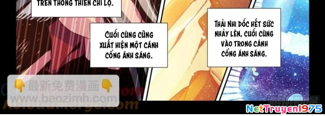 Thần Ấn Vương Tọa Chapter 296 - 12
