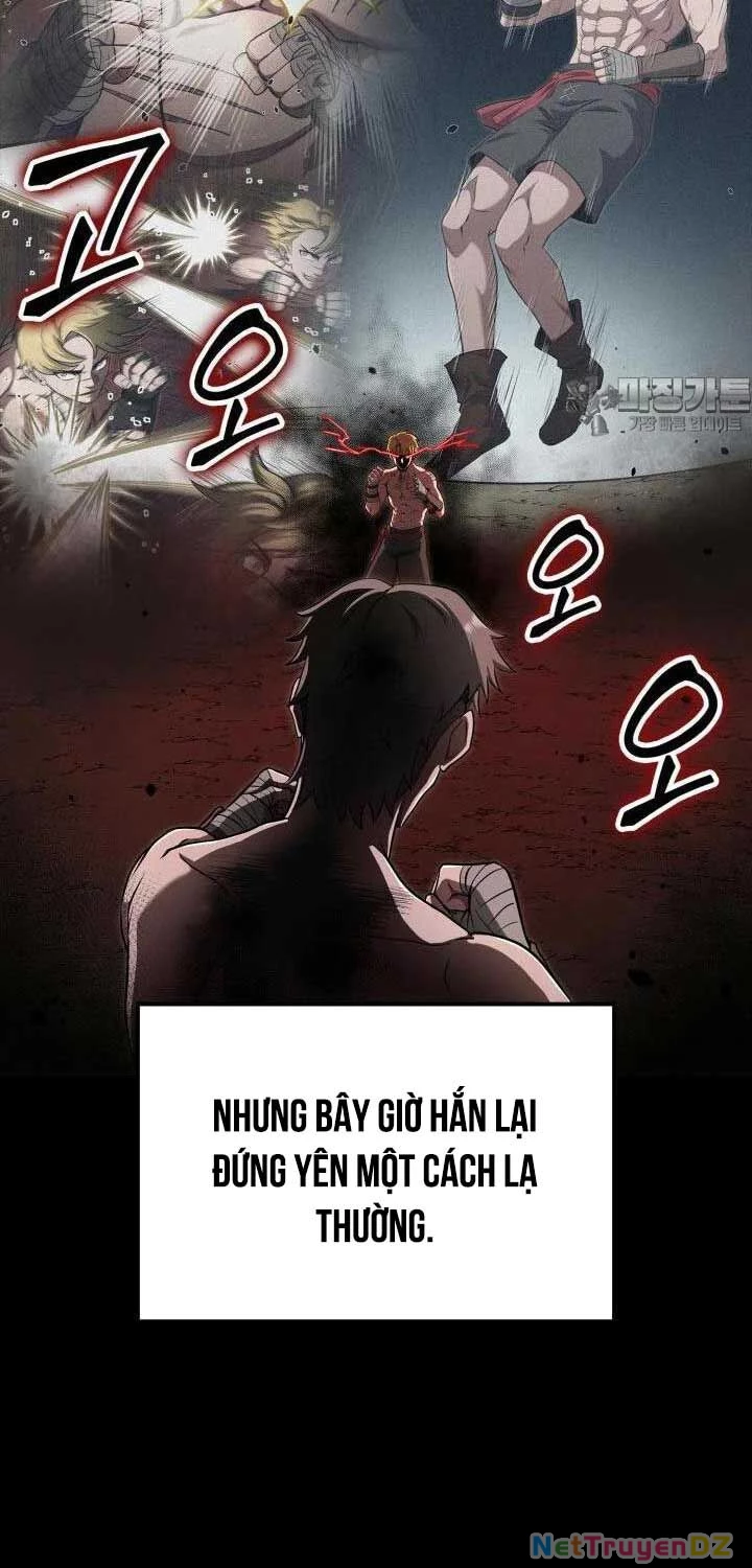 Nhà Vô Địch Kalli Chapter 81 - 25