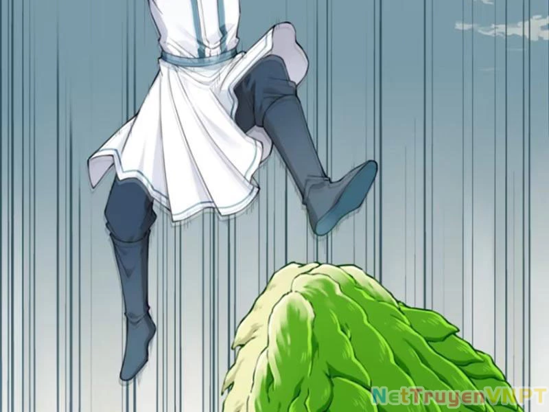 Ta Dùng Cơ Bắp Xưng Bá Tu Tiên Giới Chapter 40 - 59