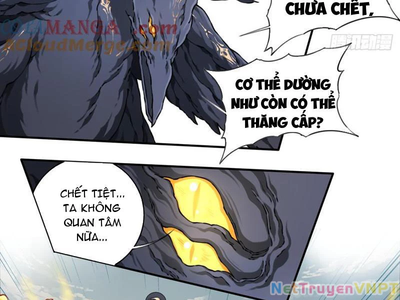 Ta Dùng Cơ Bắp Xưng Bá Tu Tiên Giới Chapter 45 - 67