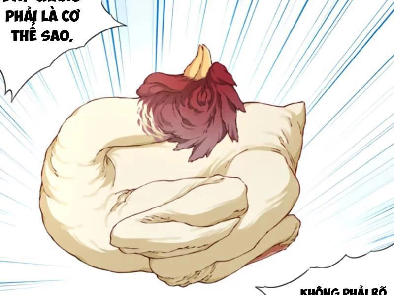 Ta Dùng Cơ Bắp Xưng Bá Tu Tiên Giới Chapter 46 - 69
