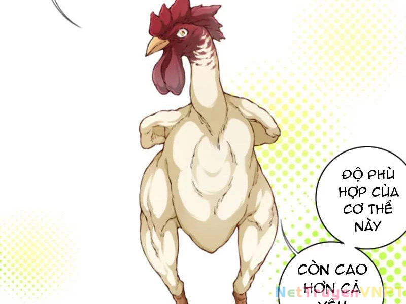 Ta Dùng Cơ Bắp Xưng Bá Tu Tiên Giới Chapter 47 - 3