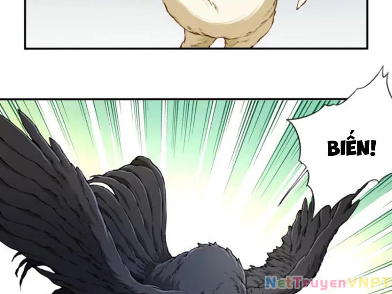 Ta Dùng Cơ Bắp Xưng Bá Tu Tiên Giới Chapter 47 - 6