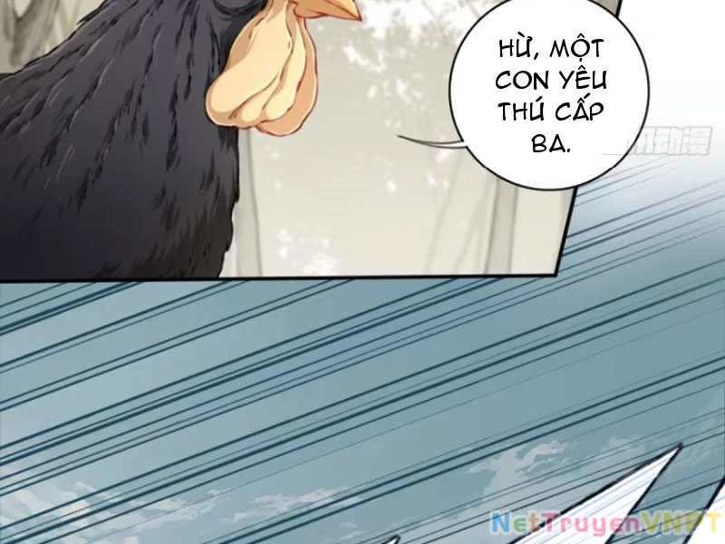 Ta Dùng Cơ Bắp Xưng Bá Tu Tiên Giới Chapter 47 - 50