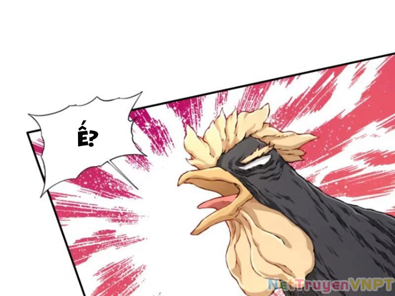 Ta Dùng Cơ Bắp Xưng Bá Tu Tiên Giới Chapter 47 - 56