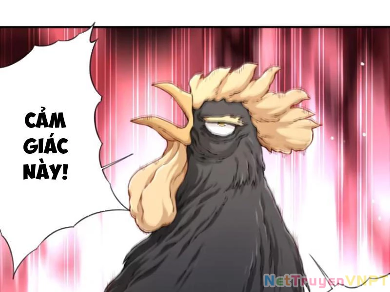 Ta Dùng Cơ Bắp Xưng Bá Tu Tiên Giới Chapter 47 - 62