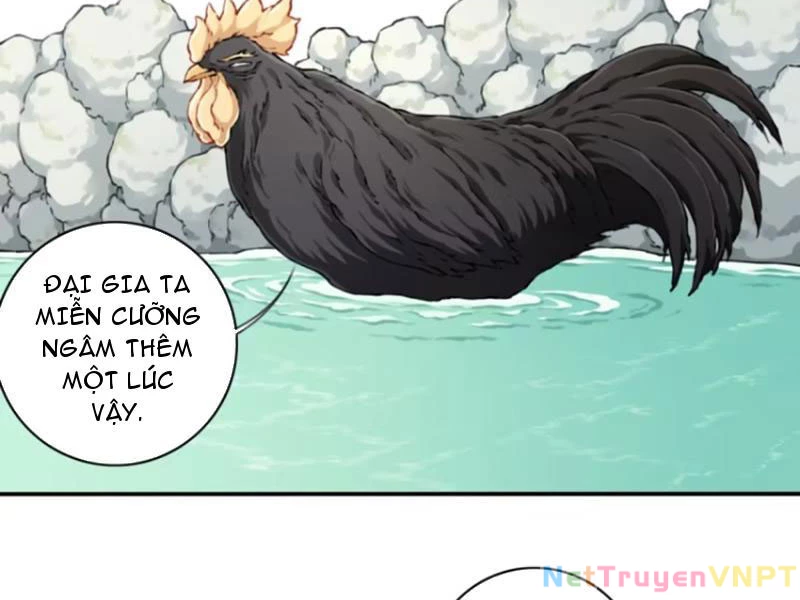 Ta Dùng Cơ Bắp Xưng Bá Tu Tiên Giới Chapter 47 - 64