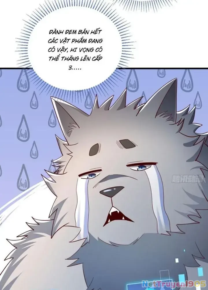 Từ Dã Quái Bắt Đầu Thăng Cấp Chapter 5 - 11