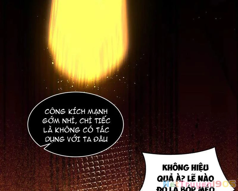 Ta Ký Kết Khế Ước Với Chính Mình Chapter 43 - 139