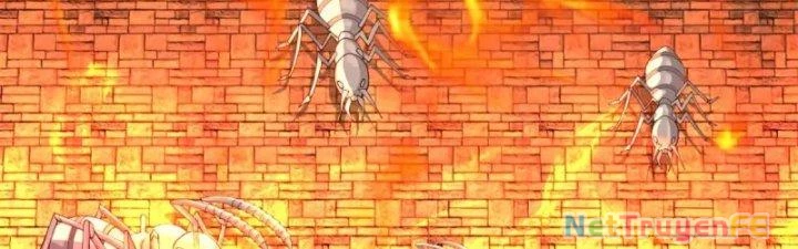 Hỗn Độn Đan Thần Chapter 358 - 104