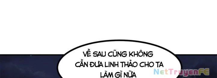 Hỗn Độn Đan Thần Chapter 360 - 100