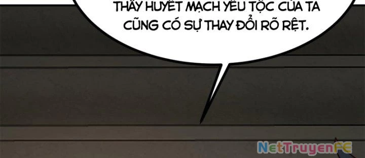 Hỗn Độn Đan Thần Chapter 361 - 14