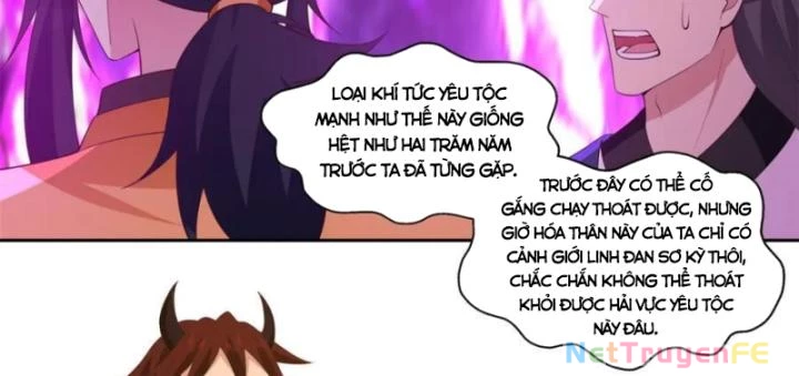 Hỗn Độn Đan Thần Chapter 395 - 22