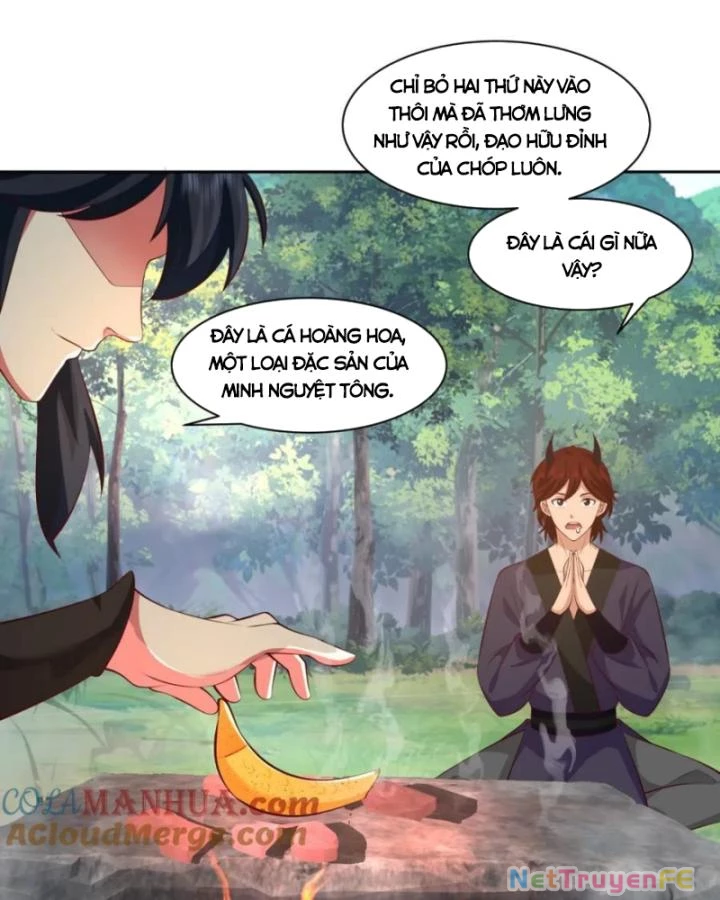 Hỗn Độn Đan Thần Chapter 397 - 20