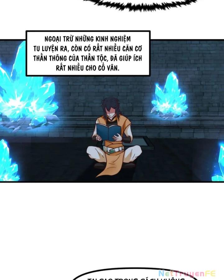 Hỗn Độn Đan Thần Chapter 492 - 14