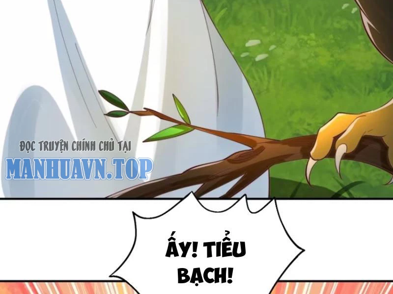 Ta Thực Sự Không Muốn Làm Thần Tiên Chapter 38 - 12