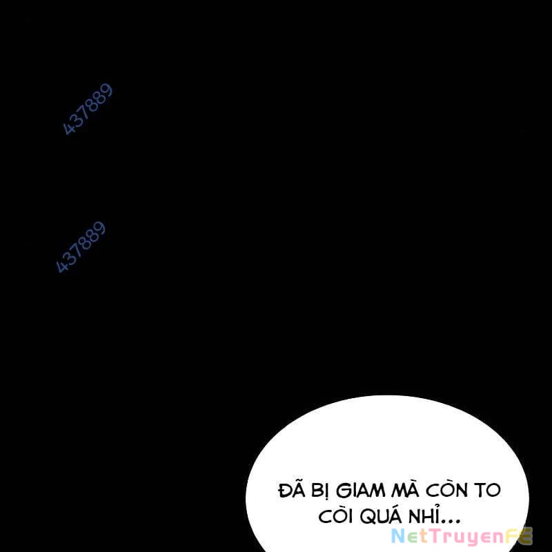 Nhân Vật Chính Ẩn Giấu Sức Mạnh Chapter 28 - 13