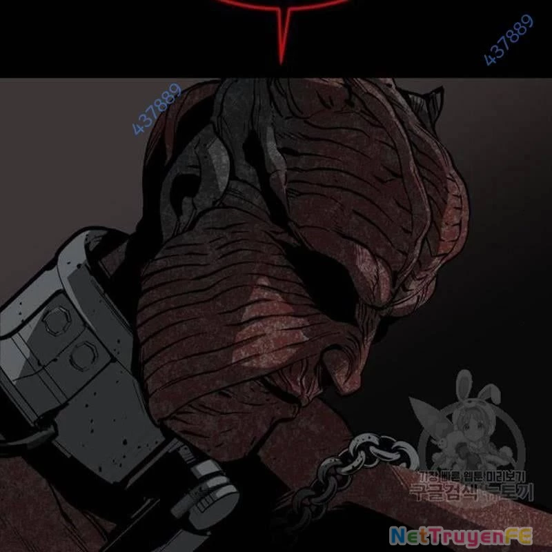 Nhân Vật Chính Ẩn Giấu Sức Mạnh Chapter 28 - 17