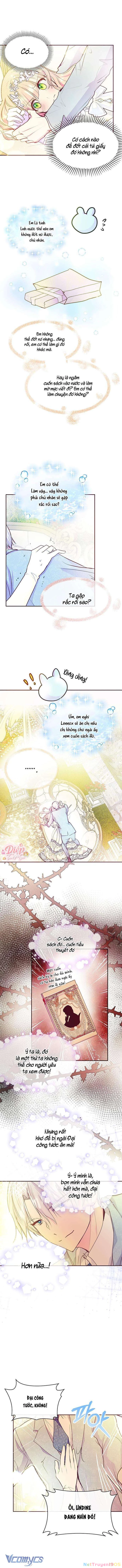 Đại Công Tước, Đó Chỉ Là Sai Lầm! Chapter 37 - 4