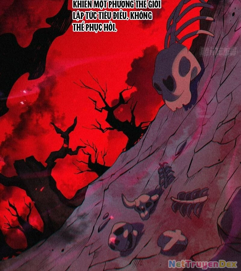 Nguyên Lai Ta Là Tu Tiên Đại Lão Chapter 469 - 48