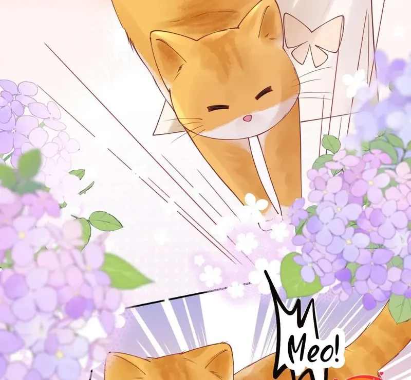 Sổ Tay Tâm Ý Chapter 7 - 47