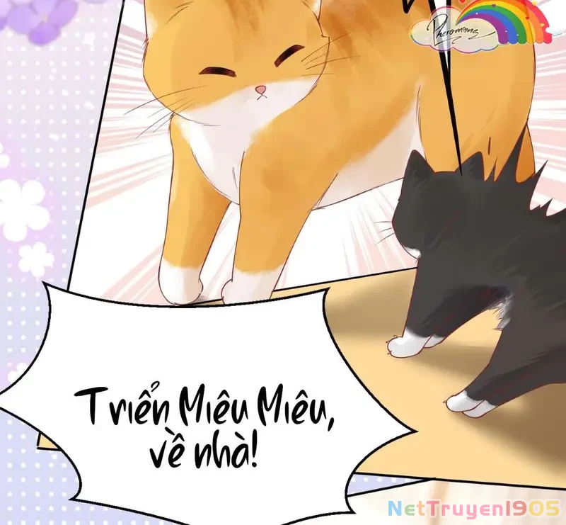 Sổ Tay Tâm Ý Chapter 7 - 48