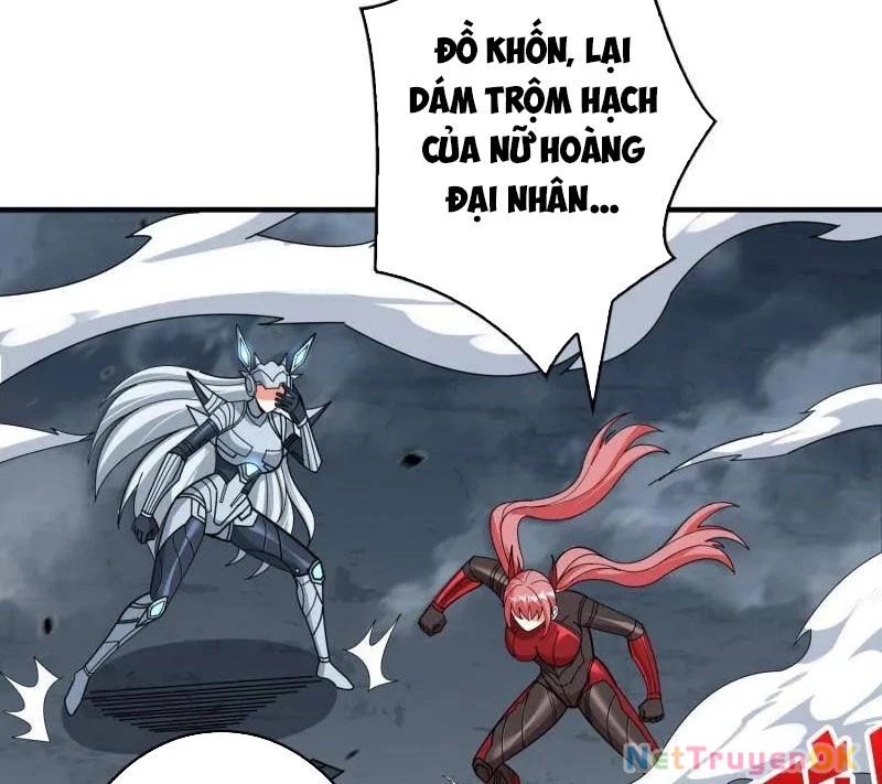 Vừa Chơi Đã Có Tài Khoản Vương Giả Chapter 484 - 5