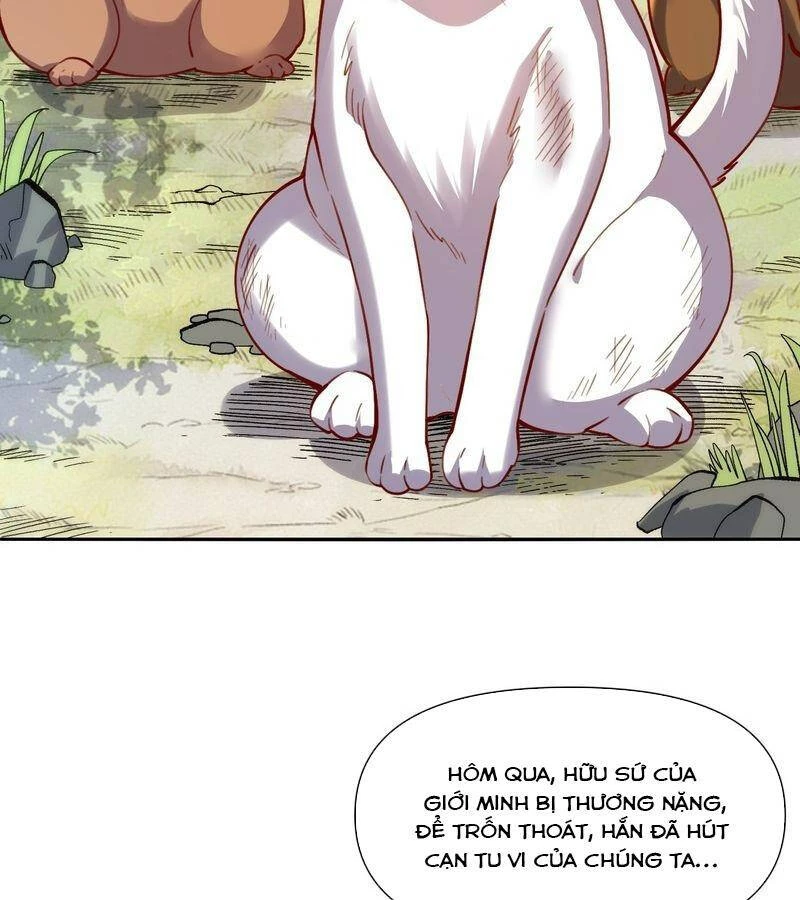 Nguyên Lai Ta Là Tu Tiên Đại Lão Chapter 463 - 40