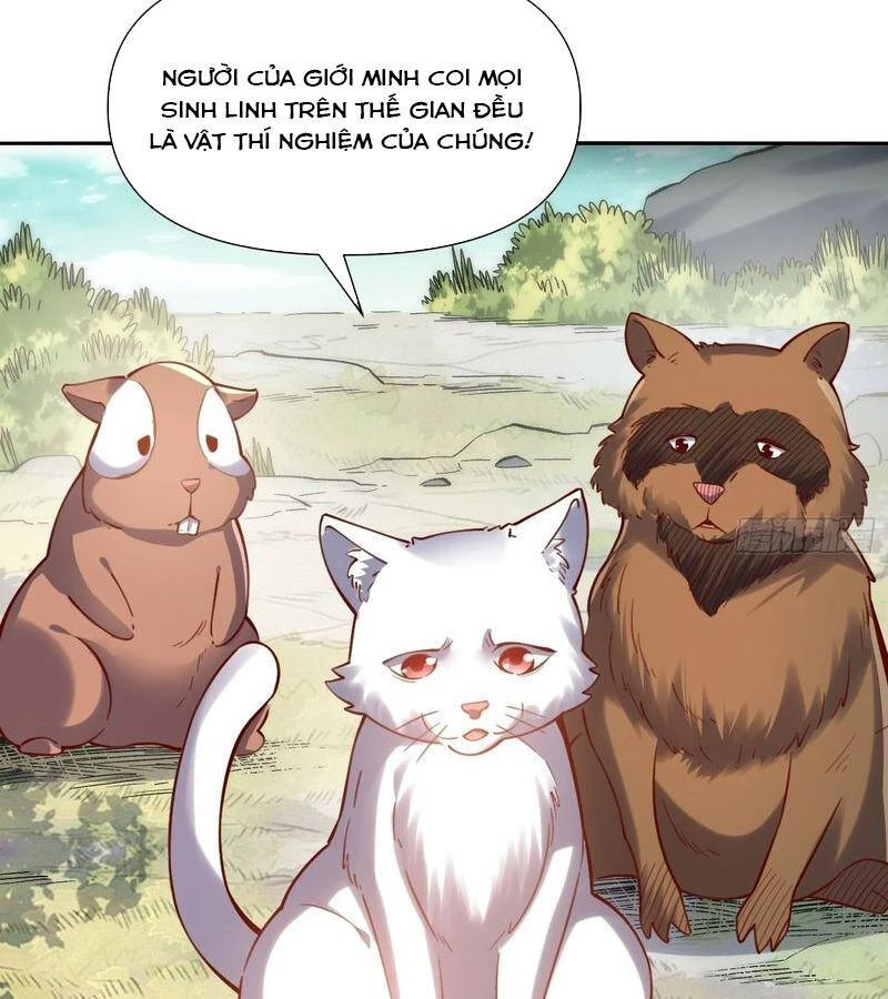 Nguyên Lai Ta Là Tu Tiên Đại Lão Chapter 463 - 47