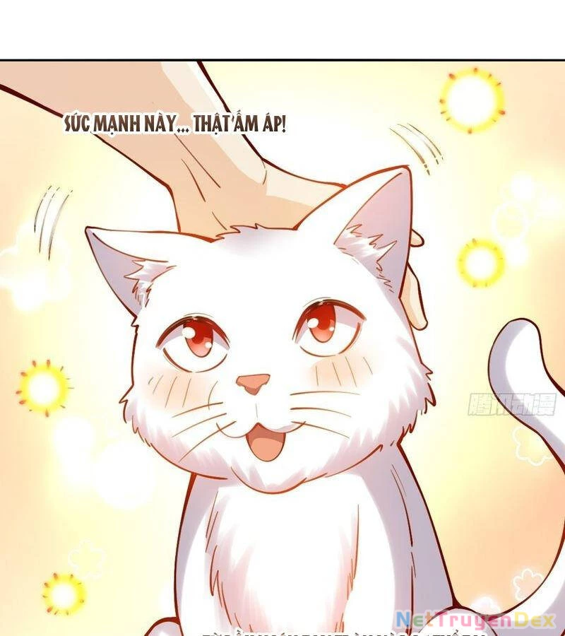 Nguyên Lai Ta Là Tu Tiên Đại Lão Chapter 463 - 53