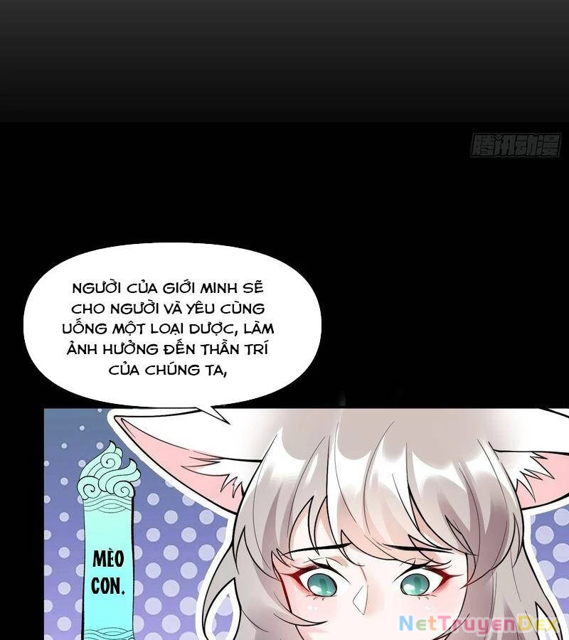 Nguyên Lai Ta Là Tu Tiên Đại Lão Chapter 463 - 65