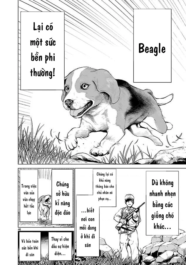 Killing Bites Chapter  34 - 49