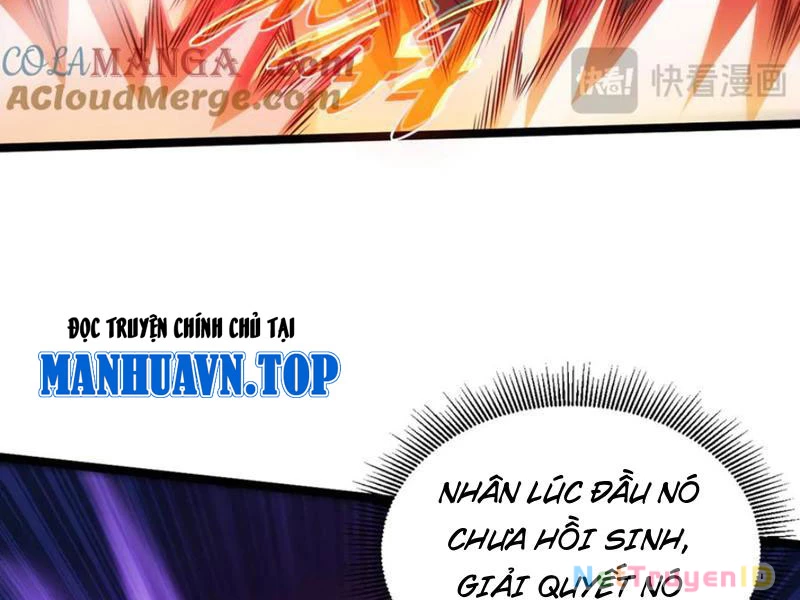 Sức Mạnh Tối Đa? Ta Lại Là Vong Linh Sư! Chapter 50 - 14