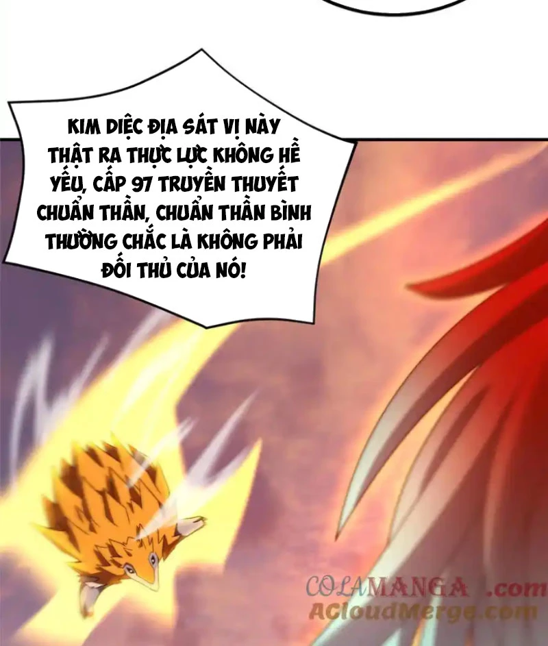 Thần Sủng Tiến Hóa Chapter 347 - 15