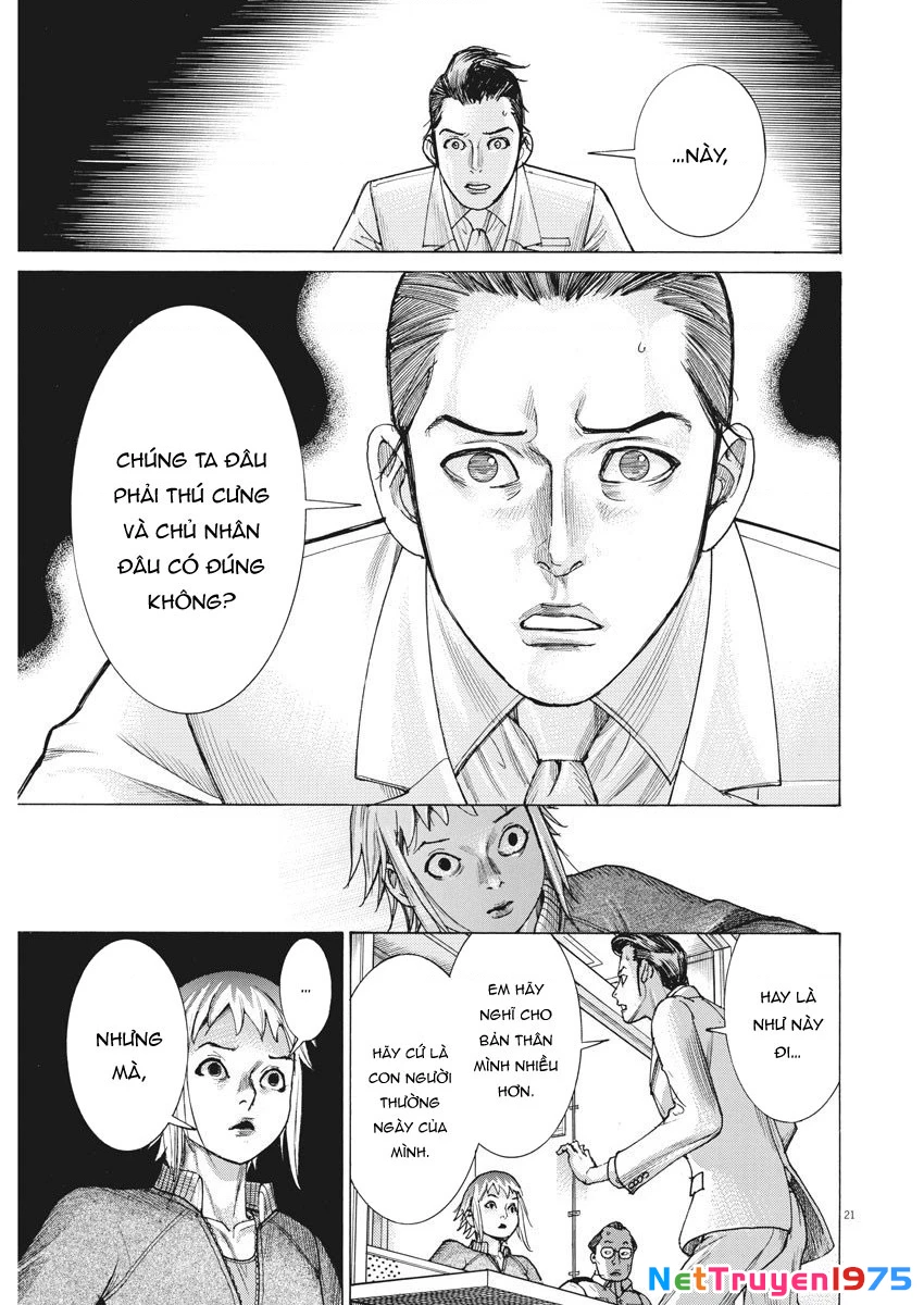 Đám Cưới Của Natsume Arata Chapter 19 - 21