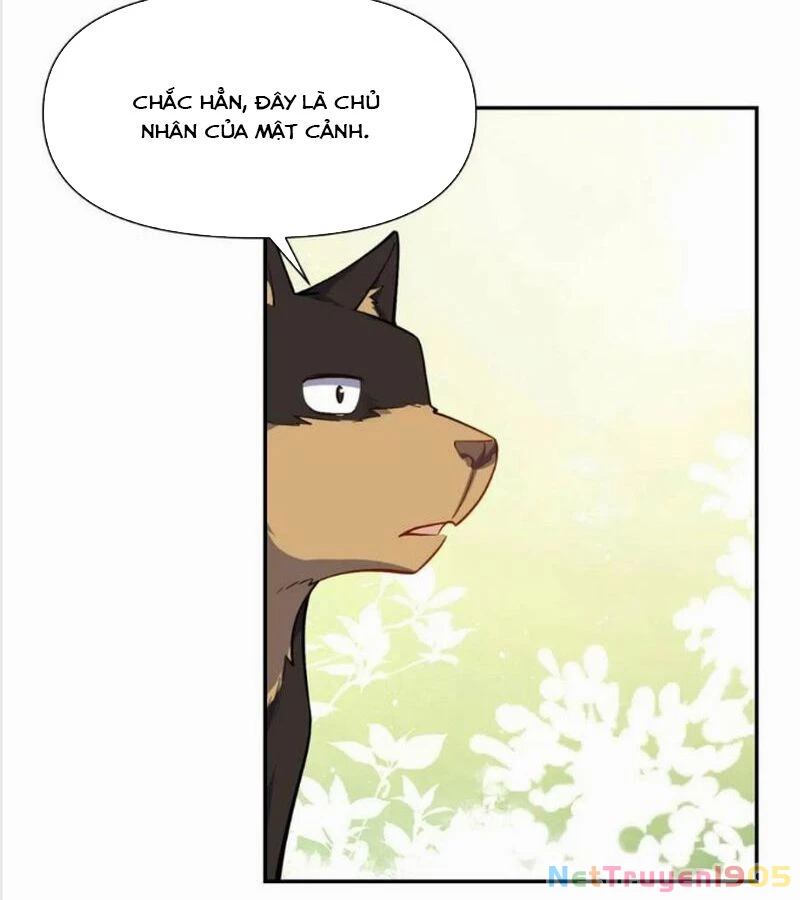 Nguyên Lai Ta Là Tu Tiên Đại Lão Chapter 474 - 78