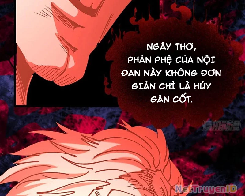 Chưa Từng Ra Tay Nhưng Ta Vẫn Thành Đại Lão Trên Thiên Bảng Chapter  97 - 63