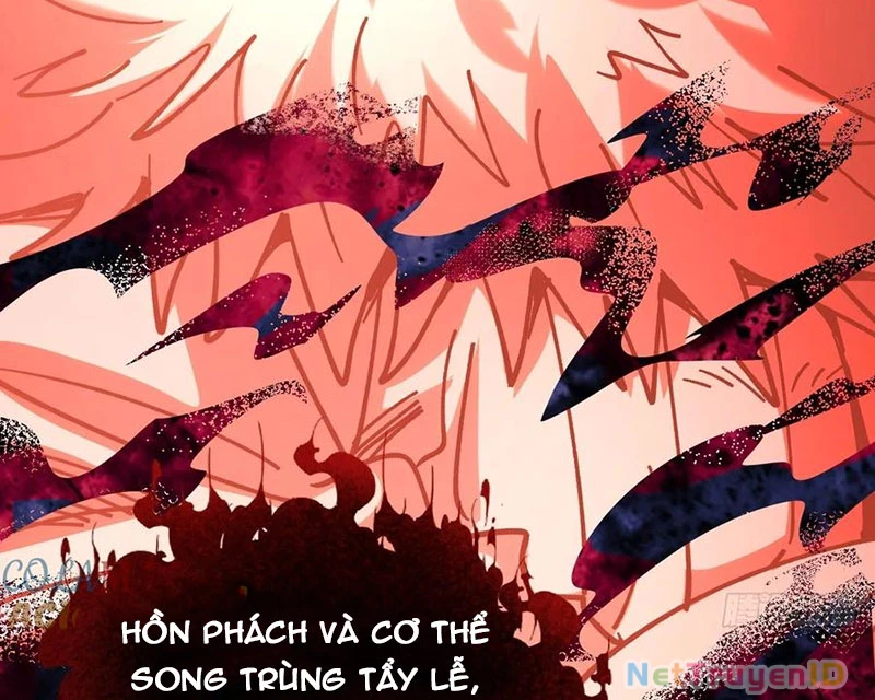 Chưa Từng Ra Tay Nhưng Ta Vẫn Thành Đại Lão Trên Thiên Bảng Chapter  97 - 65