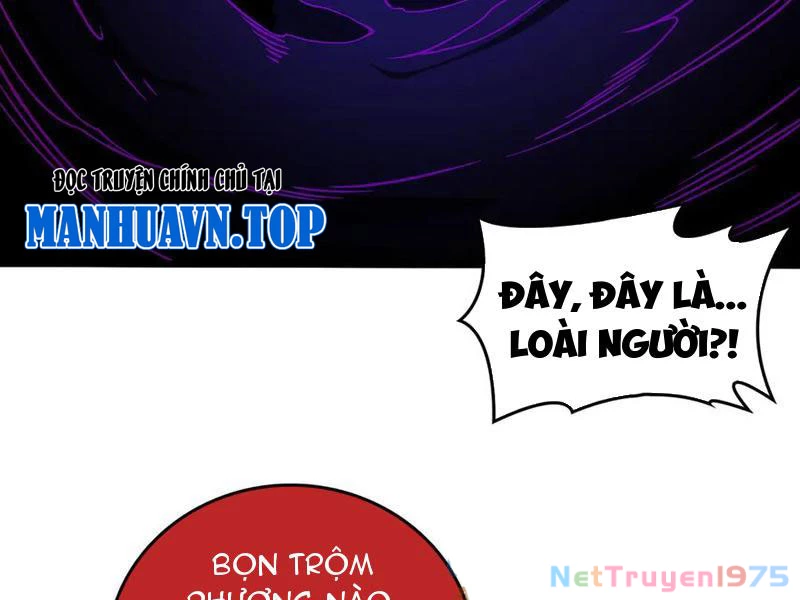 Bắt Đầu Kế Nhiệm Boss Hắc Long, Ta Vô Địch Chapter 37 - 58