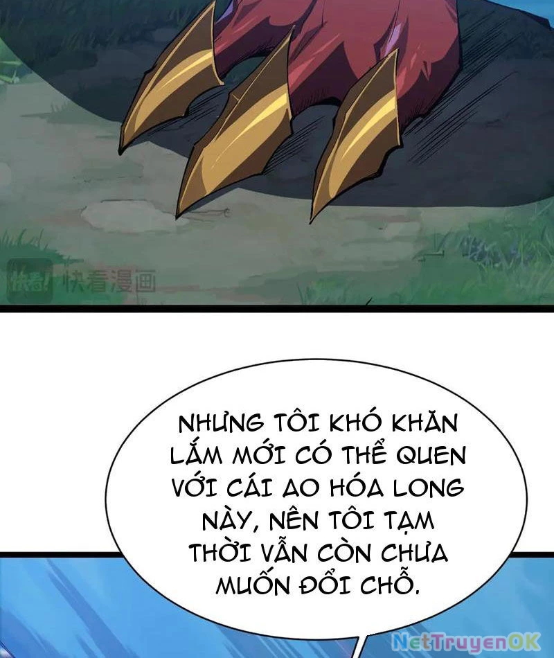 Linh Khí Khôi Phục: Từ Cá Chép Tiến Hóa Thành Thần Long Chapter 18 - 89